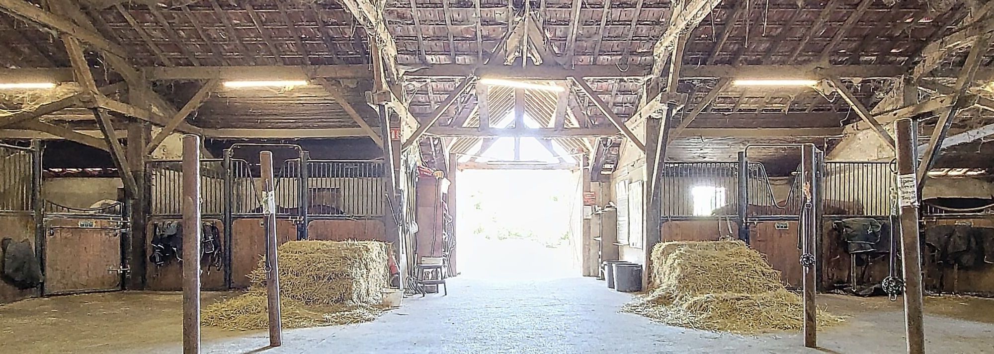 aYWJXVnVZV2RsY2ctMjAyNDA2MTExMzEzMTM_20240612145436_80302_ba37e3b