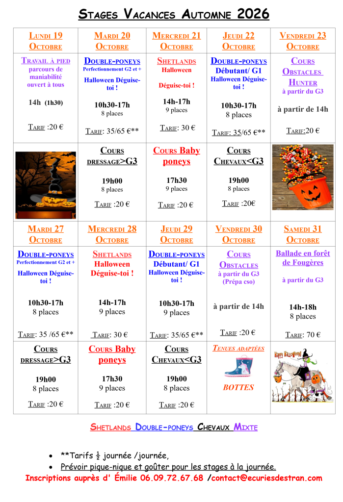 Stage vacances automne 2026