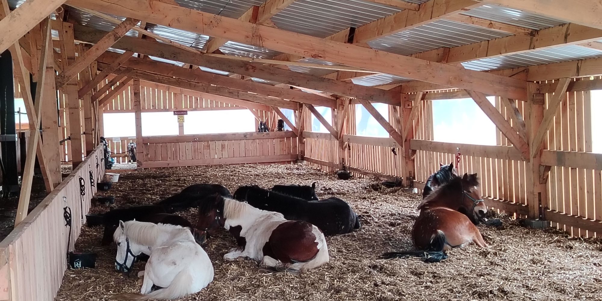 IMG_20260414_124916_resized_20260423_100854681